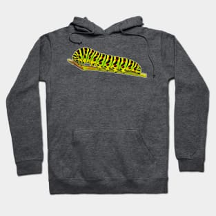 Swallowtail caterpillar Papilio machaon Hoodie